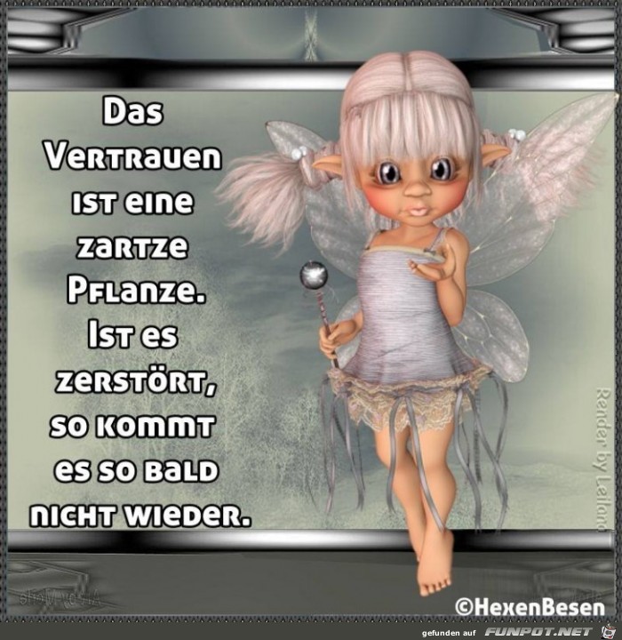 Das Vertrauen Das Vertrauen
