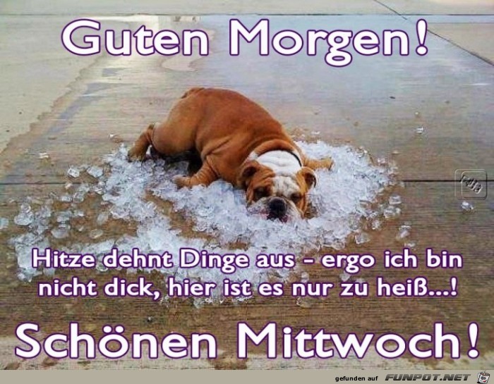 Mittwoch Mittwoch