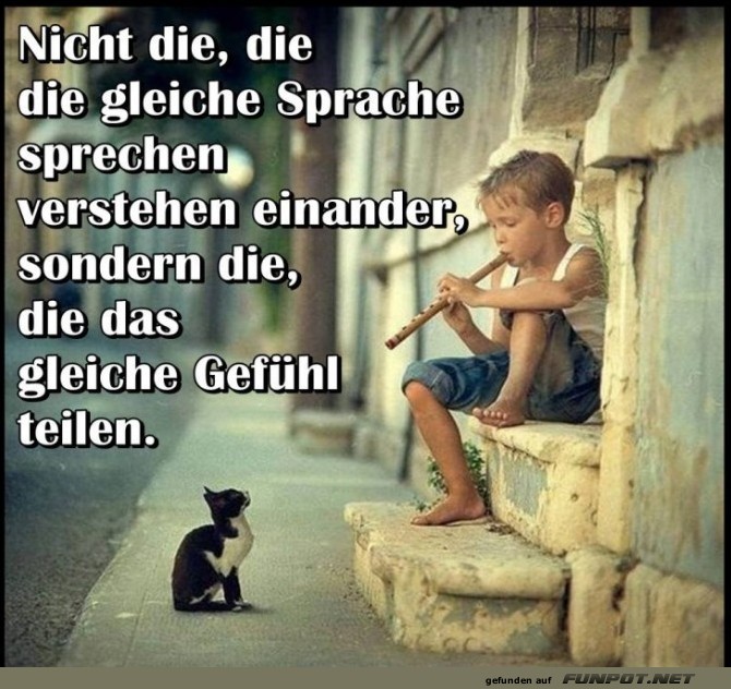 Nicht die die die gleiche Sprache sprechen Nicht die die die gleiche Sprache sprechen