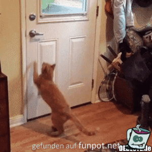 Wer kommt denn da rein Wer kommt denn da rein