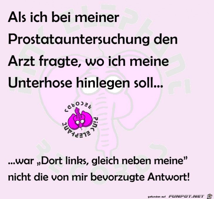 Prostatauntersuchung Prostatauntersuchung