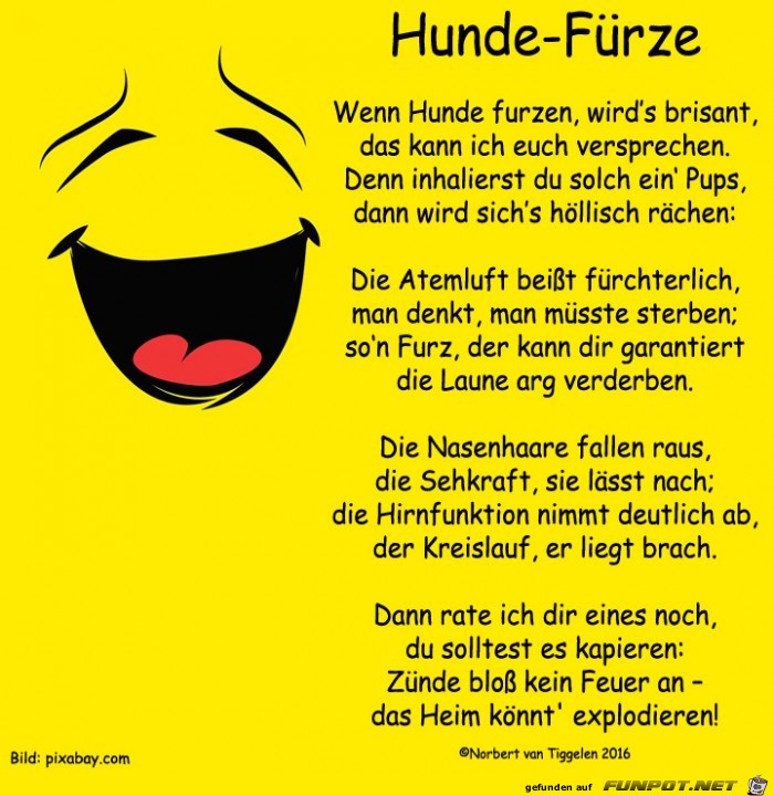 Hundefürze 2018 Hundefürze 2018