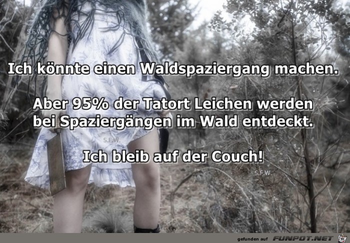 Ich koennte einen Waldspaziergang machen