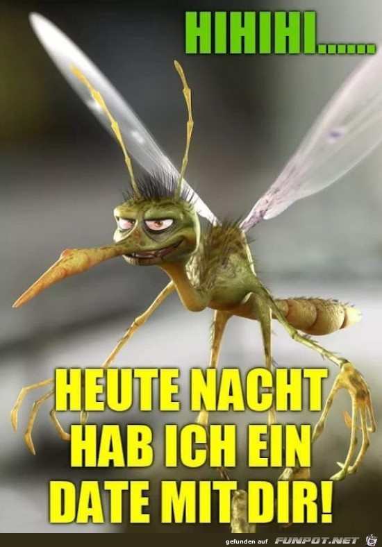 HIHIHI...... HIHIHI......