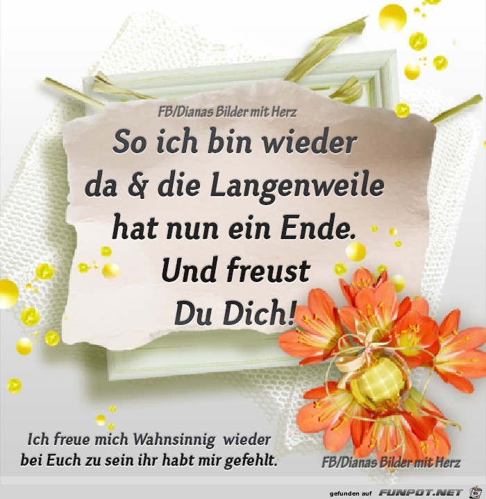 Bin wieder da Bin wieder da