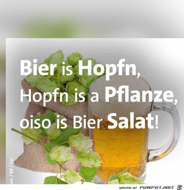 Bier 14 Bier 14