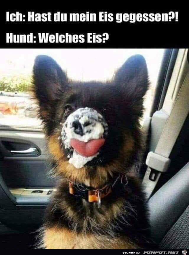 Welches Eis Welches Eis