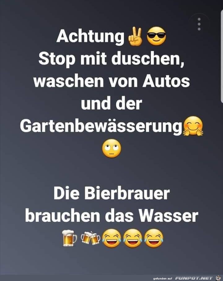 Bierbrauer Bierbrauer