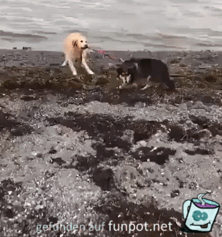 Komm jetzt ins Wasser Komm jetzt ins Wasser