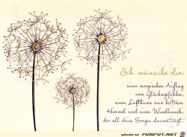 ich wuensche dir einen magischen anflug ich wuensche dir einen magischen anflug