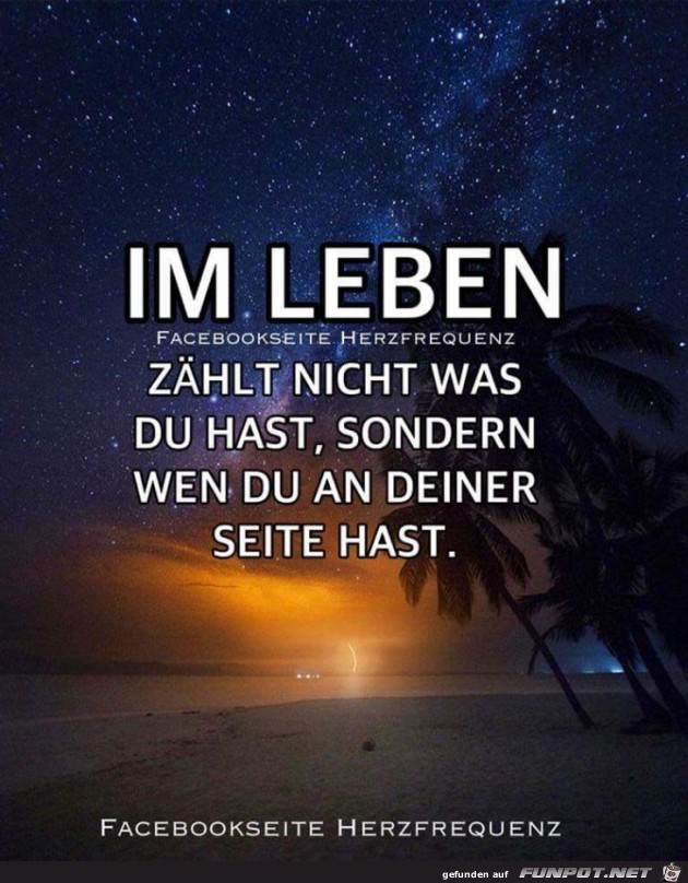 im Leben zaehlt