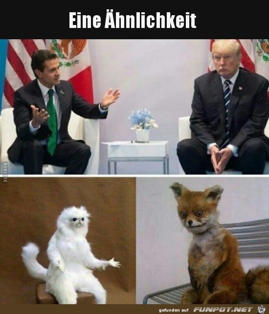 Verwechlungsgefahr Verwechlungsgefahr
