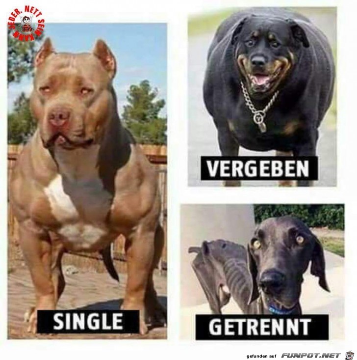 Single-vergeben-getrennt Single-vergeben-getrennt