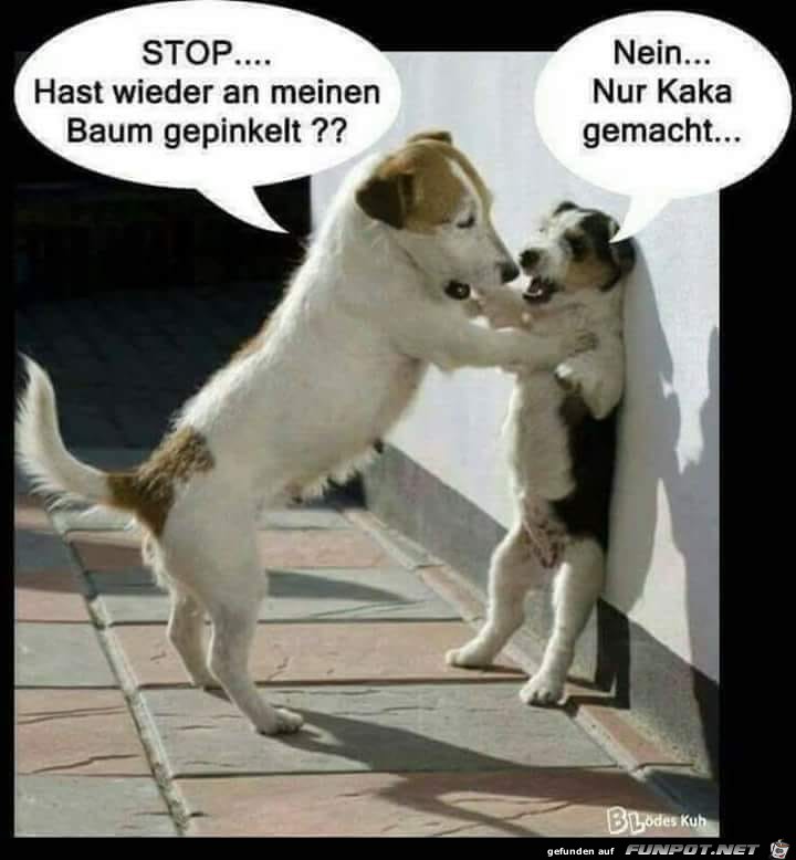 stop stop