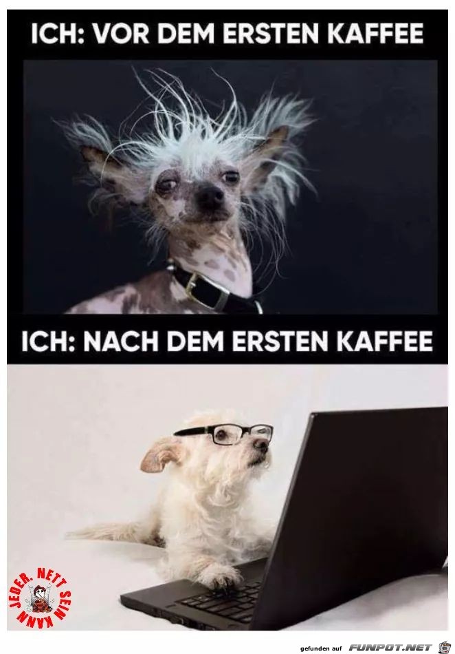 vor dem ersten kaffee vor dem ersten kaffee