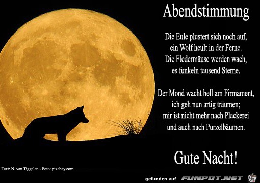 abendstimmung 2018 abendstimmung 2018