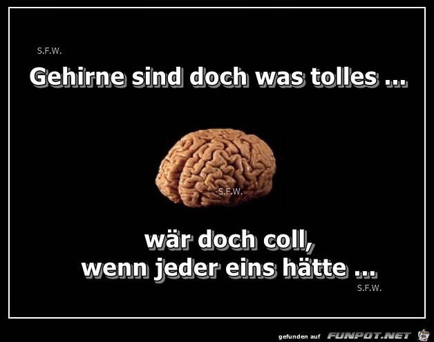 Gehirne sind doch was Gehirne sind doch was