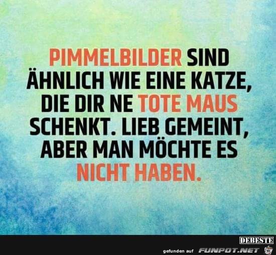 Pimmelbilder Pimmelbilder