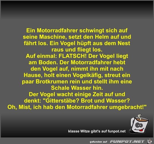 Ein Motorradfahrer schwingt sich auf seine Maschine