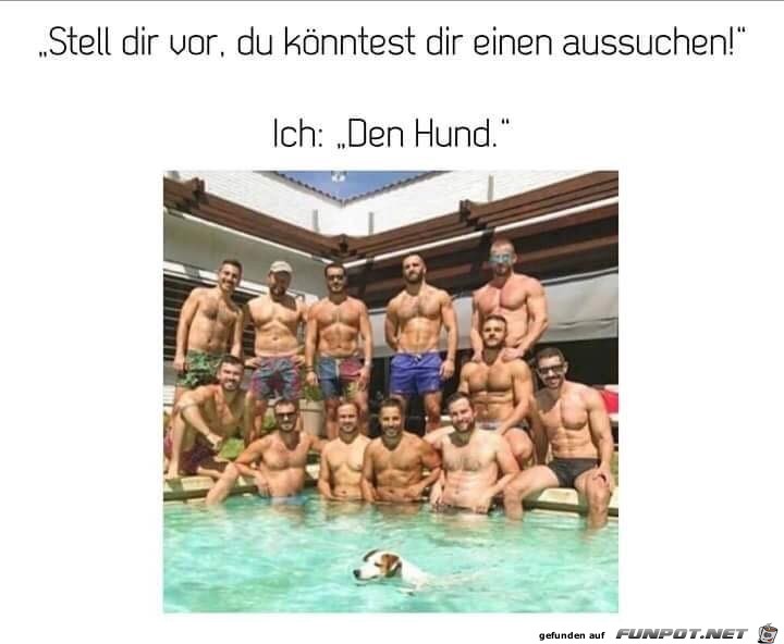 Gute Wahl Gute Wahl