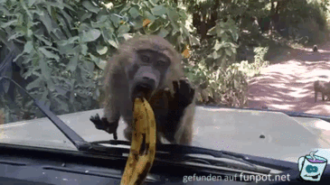 Hol Dir die Banane