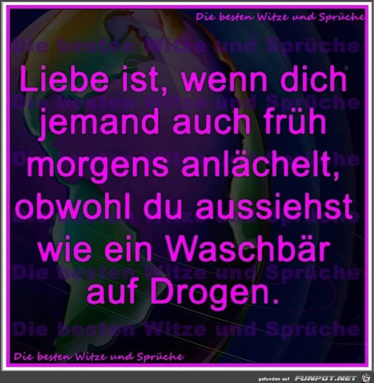 Liebe ist Liebe ist