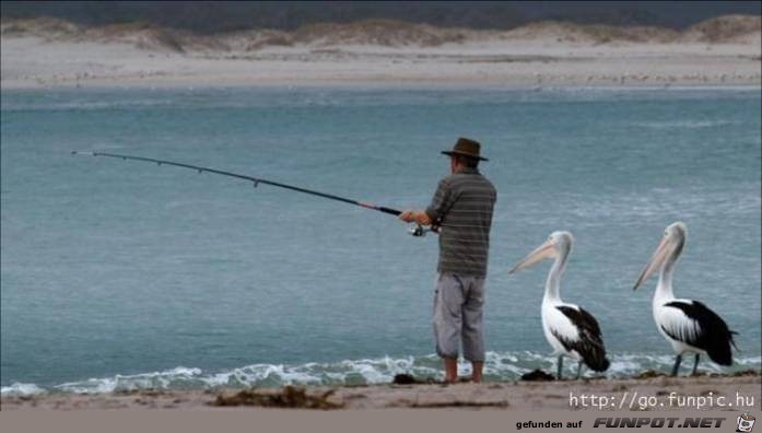 Tiere28 Tiere28