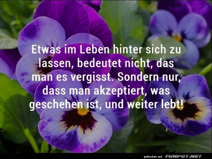 10 schne Sprche und Lebensweisheiten aus...
