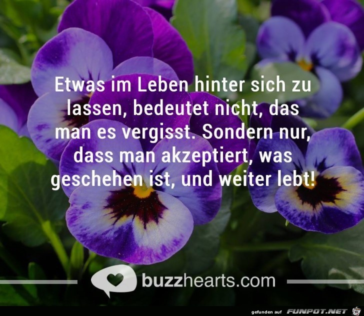 Etwas im Leben Etwas im Leben
