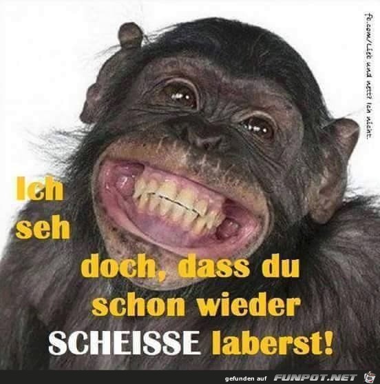 Scheisse labern