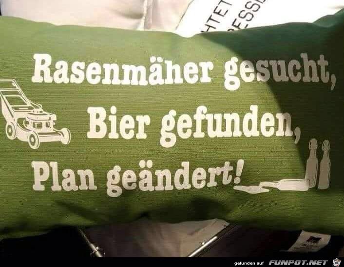 Rasenmaeher Rasenmaeher