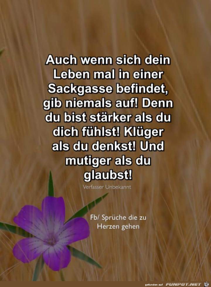 auch wenn sich dein leben auch wenn sich dein leben