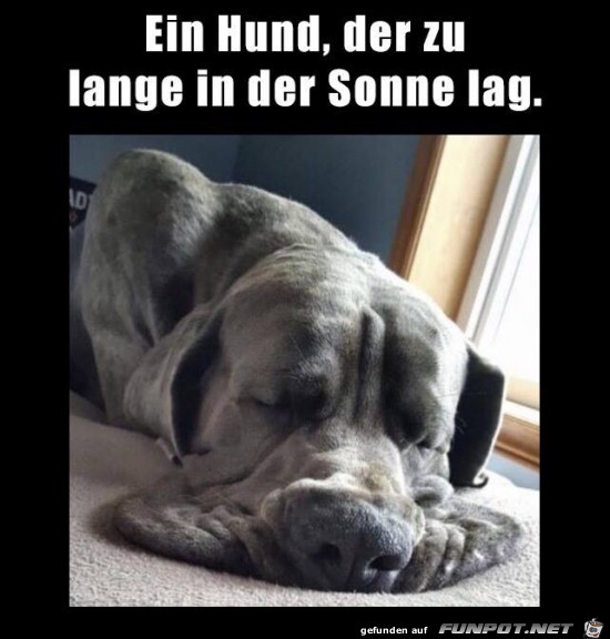 zu lang in der Sonne...... zu lang in der Sonne......