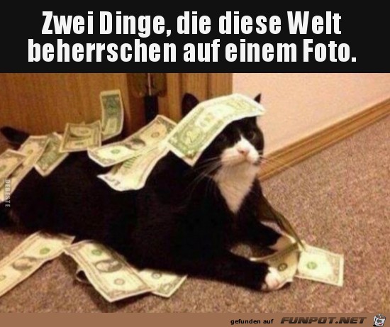 zwei Dnge....... zwei Dnge.......