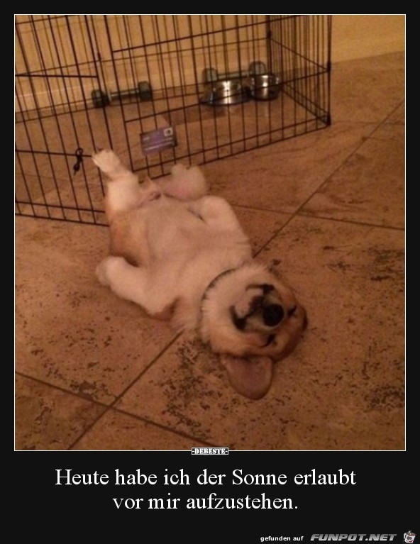 Sehr entspannt Sehr entspannt
