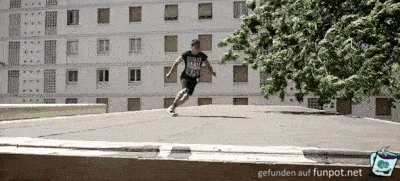Dachspringer Dachspringer