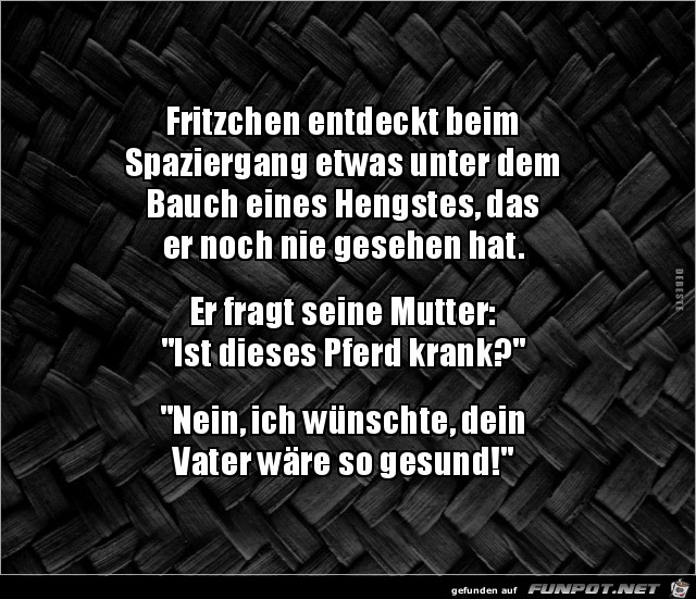 ist dieses Pferd krank?...... ist dieses Pferd krank?......