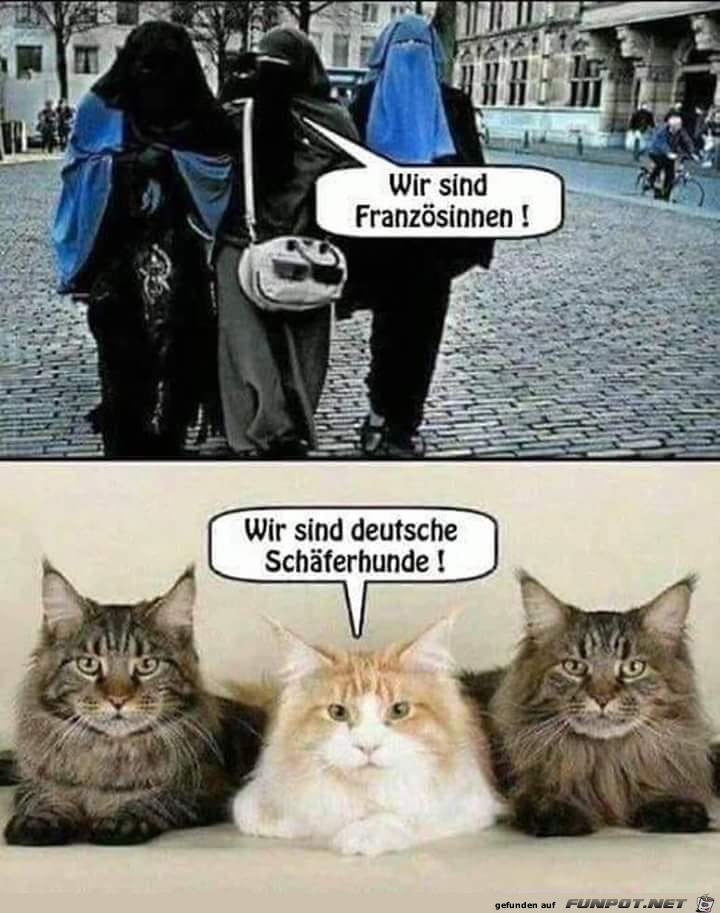 Franzoesinen Franzoesinen