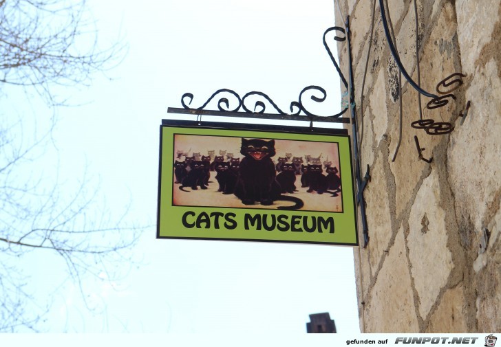 Kotor Katzenmuseum