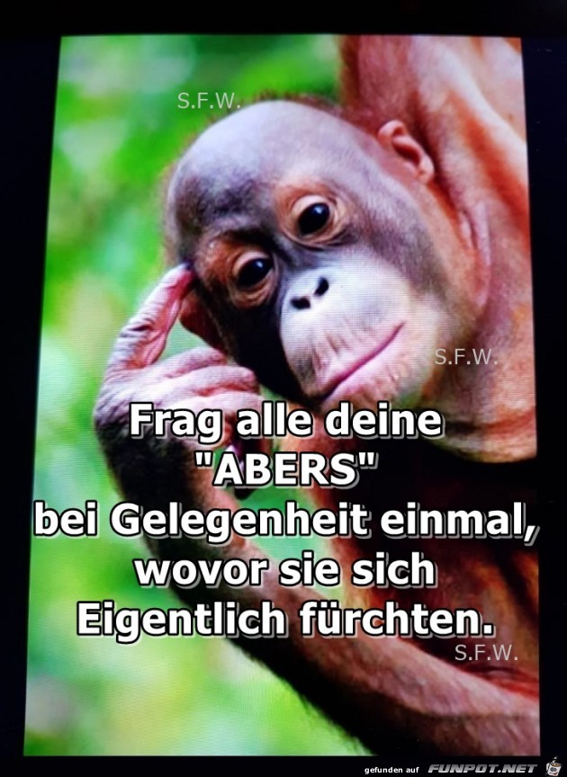 Frag alle deine