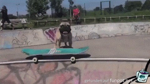 Skateboard Skateboard
