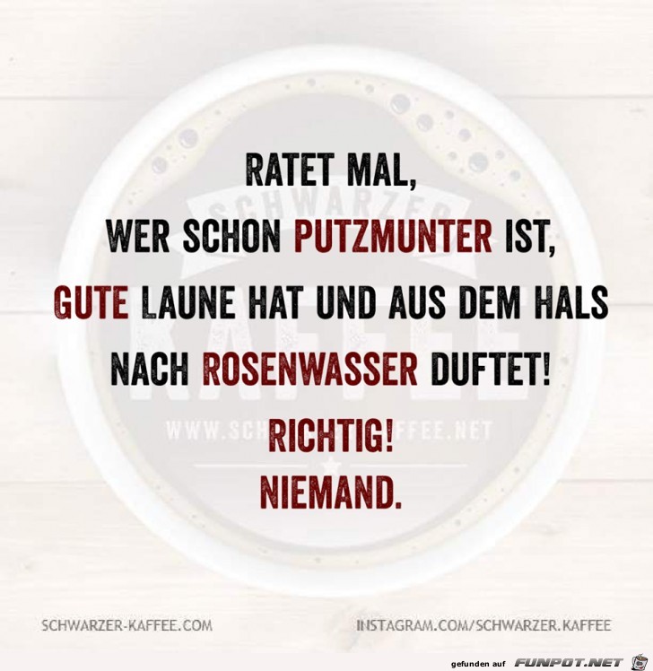 Putzmunter Putzmunter