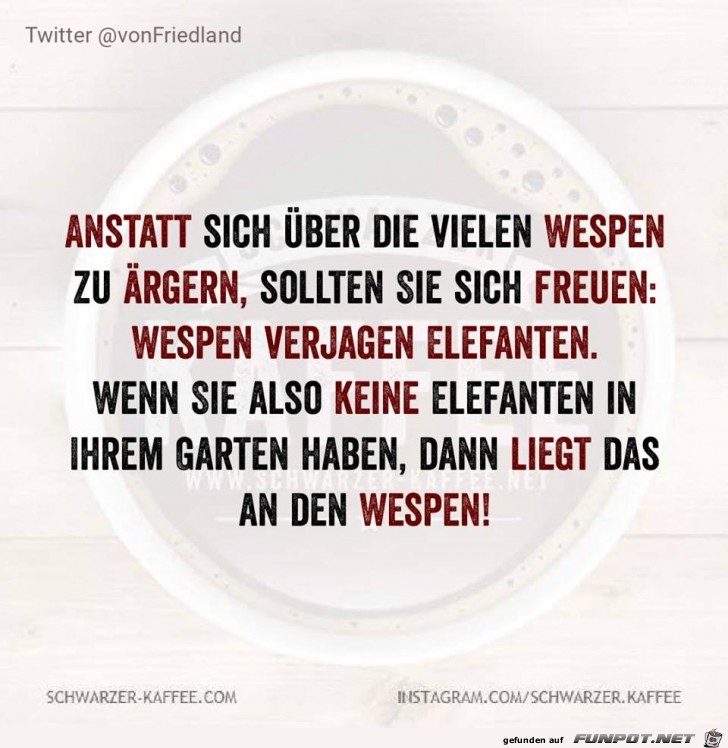 Wespen Wespen