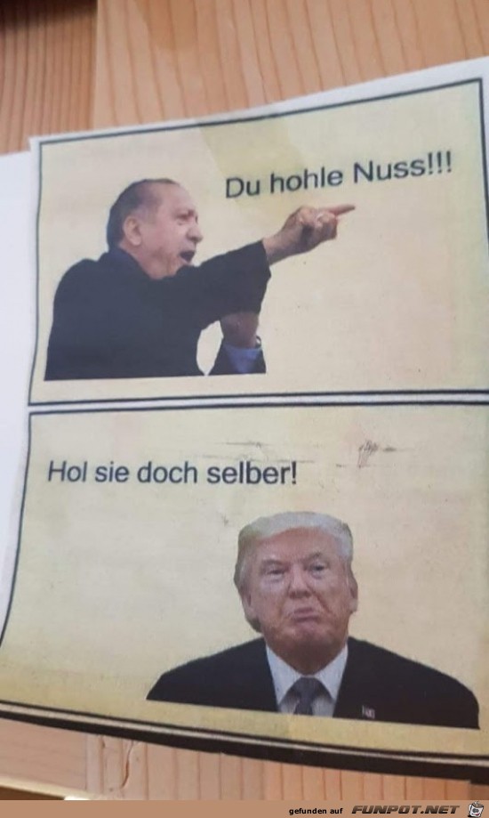 du hohle Nuss..... du hohle Nuss.....