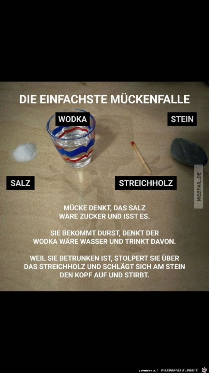Mueckenfalle Mueckenfalle