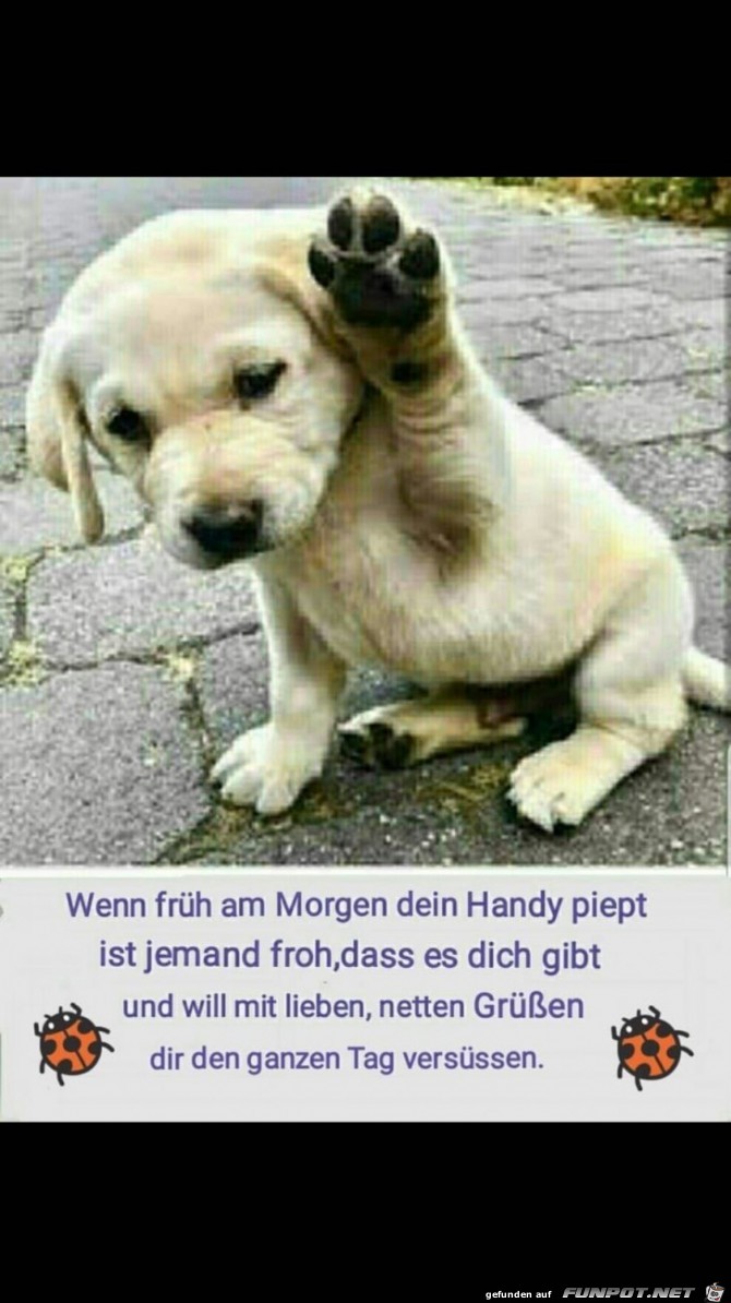schoener Tag schoener Tag
