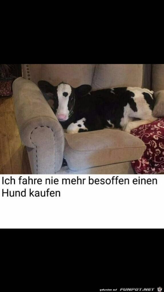 Ich fahre nie mehr besoffen...