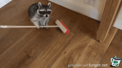 Heute ist Putztag Heute ist Putztag