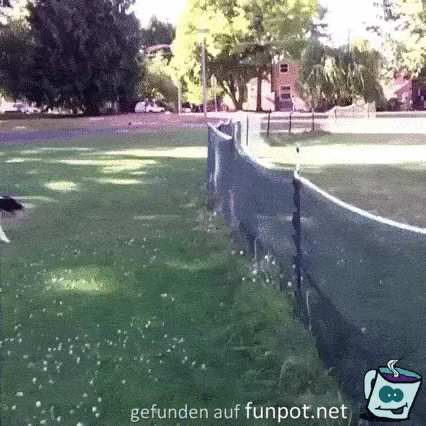 Ich muß dadurch Ich muß dadurch