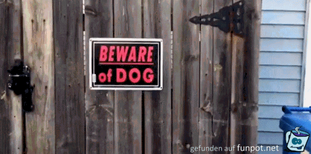 Gefährlicher Wachhund Gefährlicher Wachhund